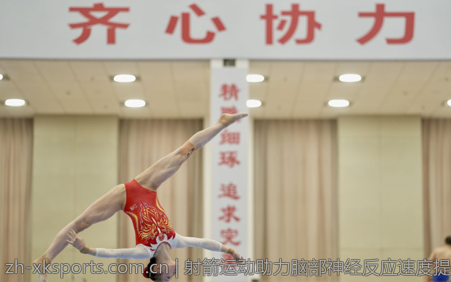 欧联杯赛季比赛场馆全揭秘
